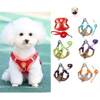 Dây xích yếm đệm cho chó mèo