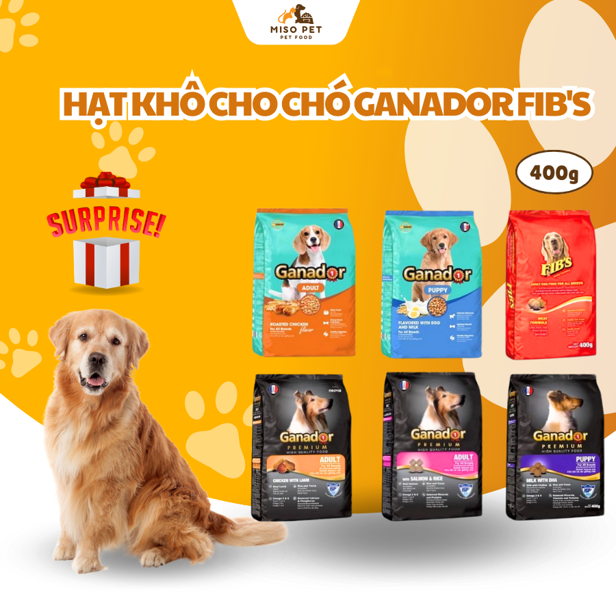 Thức Ăn Cho Chó Ganador FIB'S 400gr Đồ Ăn Hạt Khô Cho Chó Giúp Phát Triển Cơ Xương Và Miễn Dịch