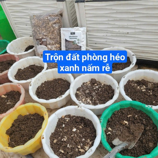 Trichoderma Nấm Đối Kháng – Phòng Thối Rễ, Héo Xanh – Ủ Phân Hữu Cơ, Xử Lý Đất Trồng Túi 200g