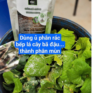 Trichoderma Nấm Đối Kháng – Phòng Thối Rễ, Héo Xanh – Ủ Phân Hữu Cơ, Xử Lý Đất Trồng Túi 200g