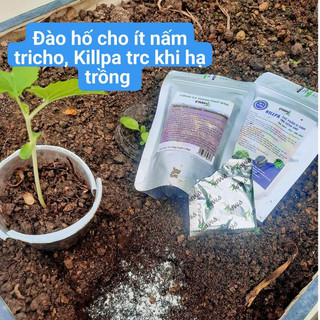 Trichoderma Nấm Đối Kháng – Phòng Thối Rễ, Héo Xanh – Ủ Phân Hữu Cơ, Xử Lý Đất Trồng Túi 200g