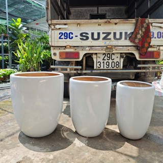 Chậu sứ To ,chậu sứ bom sứ to trồng cây đa dạng kích cỡ màu trắng LƯU Ý KIỂM TRA TRƯỚC KHI NHẬN