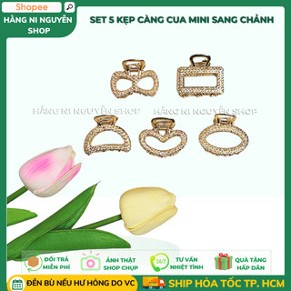 Set 5 kẹp tóc Hàn quốc siêu xinh