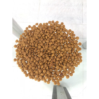 Thức ăn hạt cho chó lớn gói 800Gr vị gà - WinsGroup