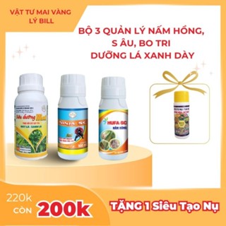 Bộ 3 Quản lý Nấm Hồng, S âu, Bo Tri, Dưỡng Lá Xanh dày, tặng 1 Lọ siêu tạo nụ