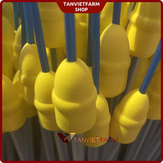 100 Que phối sâu cho heo đầu xốp