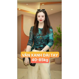ÁO PHÔNG TAY DÀI CỔ TRÒN - APTL056