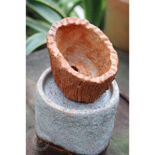 Chậu đất nung thủ công (gốm Bàu trúc)