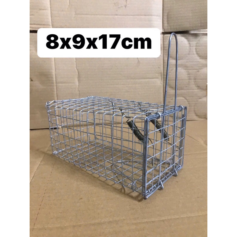 Combo 10 Bẫy chuột dưới 5 lạng🐭🐭🐭.8.9.17cm lưới 21kg.