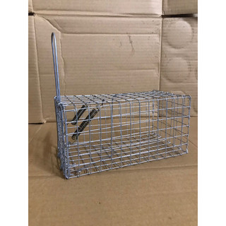 Combo 10 Bẫy chuột dưới 5 lạng🐭🐭🐭.8.9.17cm lưới 21kg.