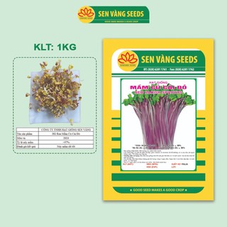  Hạt Giống Rau Mầm Củ Cải Đỏ - Nhập khẩu Ý nảy mầm >97% năng suất cao - HẠT GIỐNG SEN VÀNG 