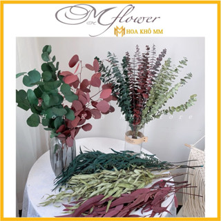 Cành lá táo khô Eucalyptus ,lá khuynh điệp , lá mimosa hoa khô trang trí để bàn, kệ sách, decor vintag