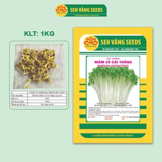  Hạt Giống Rau Mầm Củ Cải Trắng  Size Lớn  - Nhập khẩu New Zealand nảy mầm >95% siêu năng suất - HẠT GIỐNG SEN VÀNG 