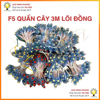LED đúc Chống Nước F5 điện 12V (Dây 3 mét, 50 bóng) trang trí, quấn cây đường phố