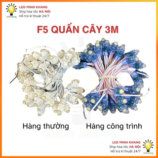 LED đúc Chống Nước F5 điện 12V (Dây 3 mét, 50 bóng) trang trí, quấn cây đường phố