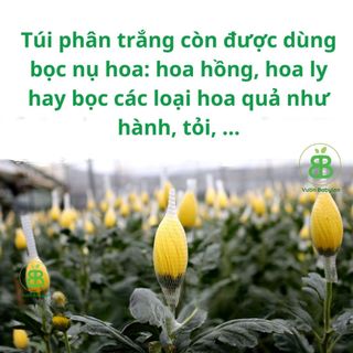 Túi Lưới  Đựng Phân Dê, Phân Tan Chậm Cho Lan - 1 Mét