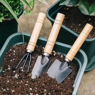 Bộ Xẻng Cào Mini 3 Món chăm sóc cây cảnh