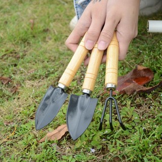 Bộ Xẻng Cào Mini 3 Món chăm sóc cây cảnh