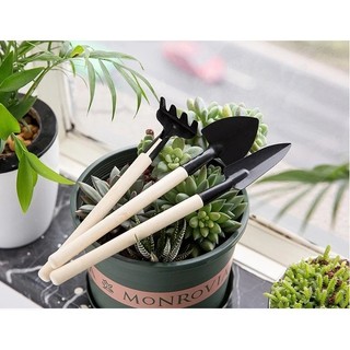 Bộ Xẻng Cào Mini 3 Món chăm sóc cây cảnh