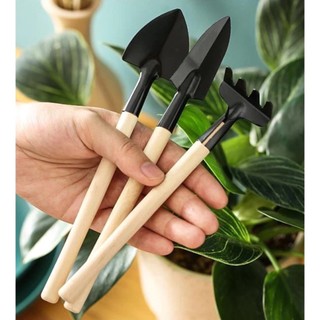 Bộ Xẻng Cào Mini 3 Món chăm sóc cây cảnh