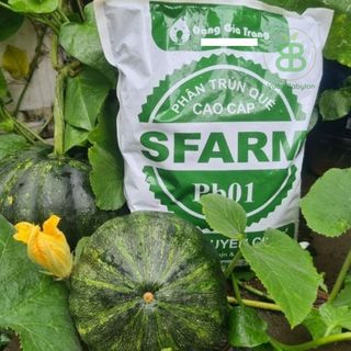 Phân Trùn Quế Nguyên Chất Dạng Bột Sfarm, Phân Hữu Cơ Vuonbabylon cung cấp dinh dưỡng, Cho Mọi Loại Cây trồng - Túi 5kg