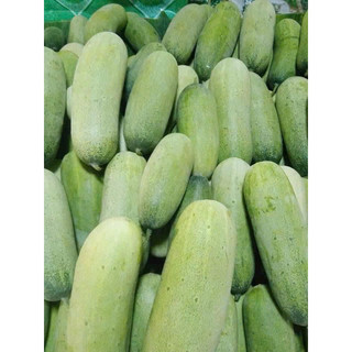 dưa mèo siêu ngon