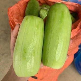 dưa mèo siêu ngon
