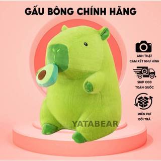 Gấu Bông Capybara Rút Mũi YATABEAR Gấu Bông Capybara Bơ Xanh Đáng Yêu Gấu Bông Cao Cấp Chất Vải Siêu Mịn