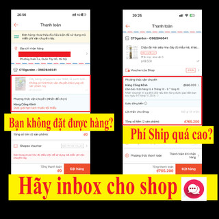 Cây Hoa Sam Hồng 31