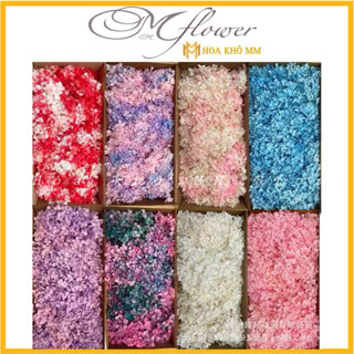 Hoa khô tú cầu cao cấp nhiều màu dùng trong makeup, resin , nến , handmade phụ kiện decor xinh