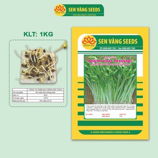  Hạt Giống Rau Mầm Rau Muống Indo - Nảy mầm chuẩn >95% siêu năng suất dễ trồng vị ngọt mát dễ ăn - HẠT GIỐNG SEN VÀNG 