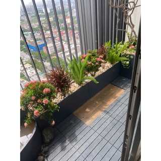 Chậu composite mẫu sole cao thấp [ có tặng kèm chân đế ]