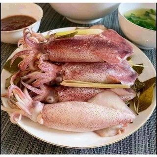Mực trứng ship hỏa tốc tp HCM