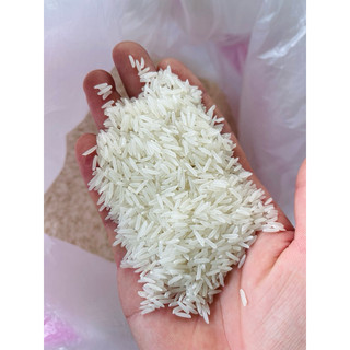 GẠO ST25  túi 5KG