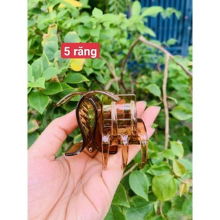 Sỉ 12 chiếc Kẹp Tóc Càng Cua 5 Răng Đen hoặc Vàng - SP000247