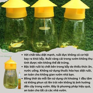 Combo Lồng Bẫy Và Chất Dẫn Dụ Ruồi , Hiệu Quả  Cao - Hũ Bắt Côn Trùng Kèm Chế Phẩm
