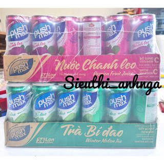 Nước Chanh Leo/Trà Bí Đao Đại Việt Push max Thùng 24 non x320ml