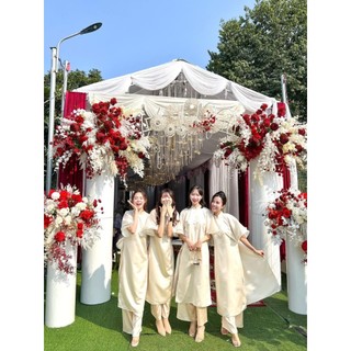 Áo Dài Cách Tân Nữ Tay Bèo LD22