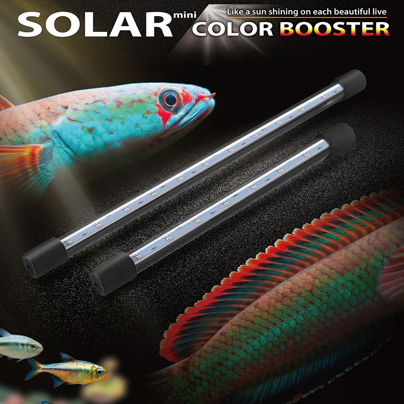 Đèn Cá Lóc Neo-Helios Solar Color Booster