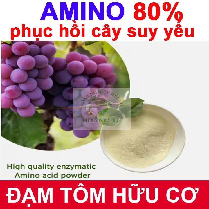 Đạm cá 80%(Amino Acid) cải tạo đất, tăng khả năng hấp thụ dinh dưỡng gói 500g