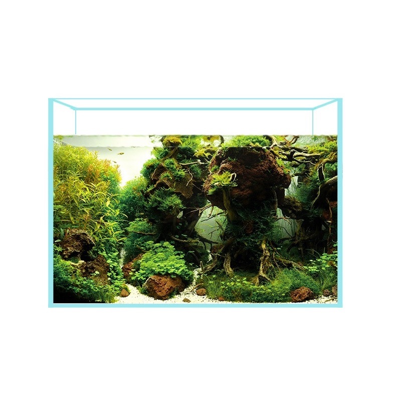 Bể Cá Cảnh Kính Siêu Trong Cubic