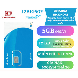 [Vinaphone] Sim 4G BIG50Y/12BIG50Y - chưa kích hoạt - ĐĂNG KÝ CHÍNH CHỦ