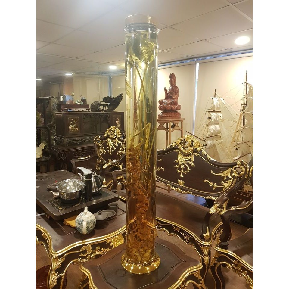 [ CHÍNH HÃNG ] Bình Ngâm Rượu Hàn Quốc 30 Lít Trụ , Bình Thuỷ Tinh Yongcheon, BHQ-S47