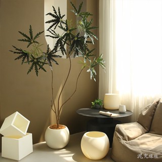 Chậu nhựa trồng cây cao cấp - Chậu giả xi măng - Chậu nhựa trồng cây giả