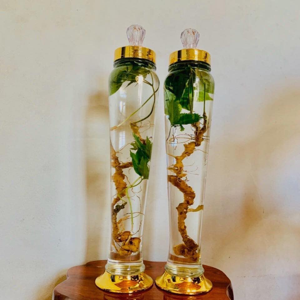 [ CHÍNH HÃNG ] Bình Ngâm Rượu Hàn Quốc 3 Lít , Bình Thuỷ Tinh Yongcheon, BHQ-S100