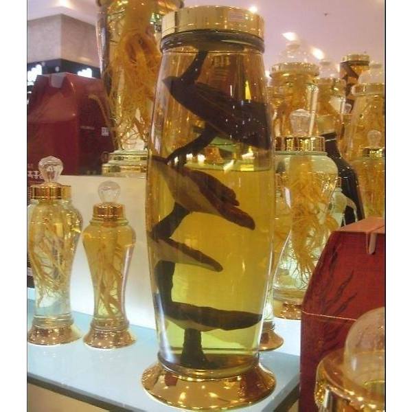 [ CHÍNH HÃNG ] Bình Ngâm Rượu Hàn Quốc 12 Lít, Bình Thuỷ Tinh Yongcheon, BHQ-S22