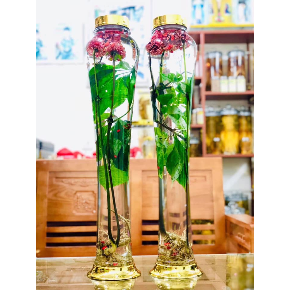 [ CHÍNH HÃNG ] Bình Ngâm Rượu Hàn Quốc 5 Lít, Bình Thuỷ Tinh Yongcheon, BHQ-S48