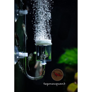 Sủi Oxy Siêu Mịn - Bổ Sung Oxy Hoà Tan - Tép Màu Quận 3