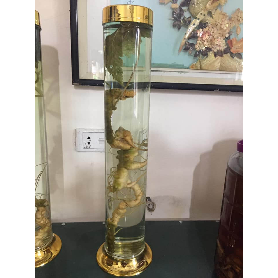 [ CHÍNH HÃNG ] Bình Ngâm Rượu Hàn Quốc 3 Lít , Bình Thuỷ Tinh Yongcheon, BHQ-S73