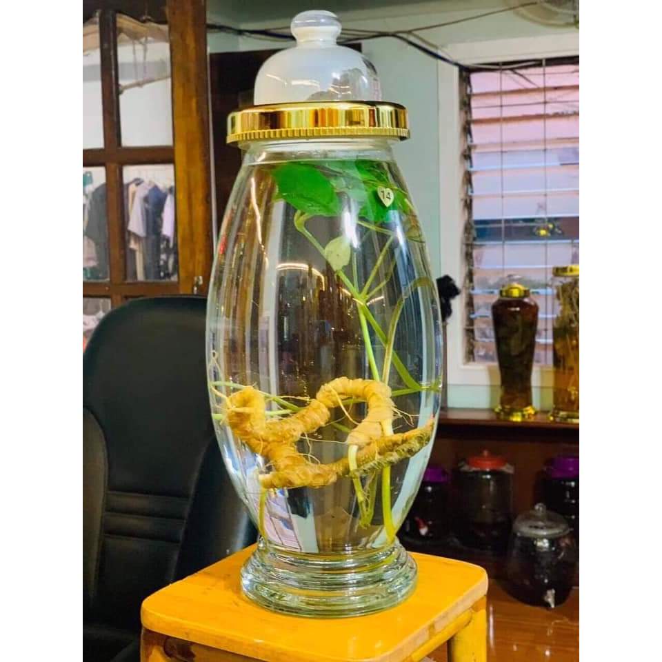 [ CHÍNH HÃNG ] Bình Ngâm Rượu Hàn Quốc 15 Lít, Bình Thuỷ Tinh Yongcheon, BHQ-S29